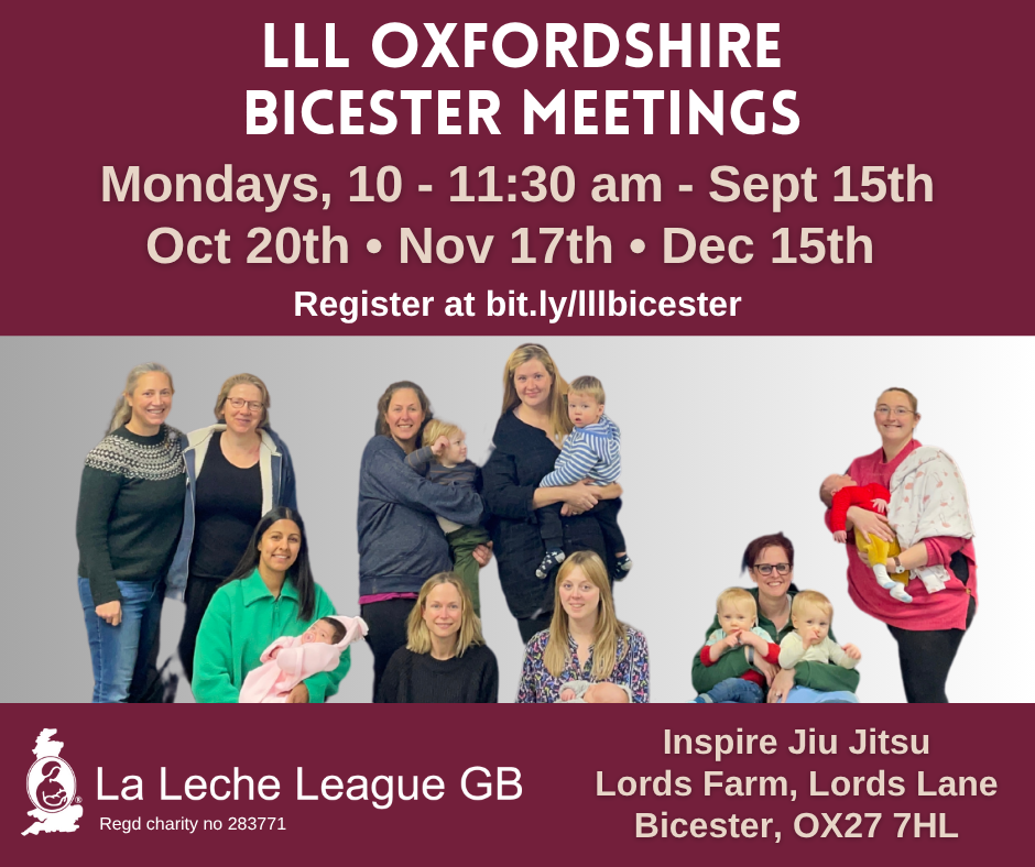 A group of mothers sitting and standing with their babies. Text: LLL Oxfordshire Bicester Meetings. Monday 10-11:30 am. Sept 15th, Oct 20th, Nov 17th, Dec 15th. Inspire Jiu Jitsu, Lords Farm, Lords Lane, Bicester, OX17 7HL